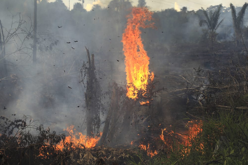 Building Effective Monitoring Networks: A Locally Led Approach to ...