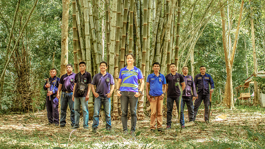 bamboo team.jpg