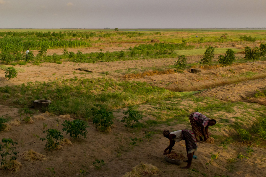 Photo of a farming in Africa.